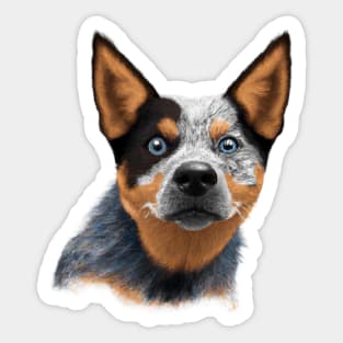 Cute Australian Cattle Dog Drawing Sticker